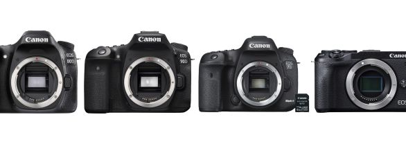 comparaison Canon EOS 90D vs M6 Mark II vs 80D vs 7D Mark II