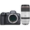 photo Canon EOS R6 + 100-500mm