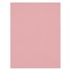 Image du Toile de fond infroissable X-Drop - Blush Pink (5' x 7')
