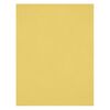 photo Westcott Toile de fond infroissable X-Drop - Canary Yellow (5' x 7')