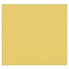 photo Westcott Toile de fond infroissable X-Drop - Canary Yellow (8' x 8')