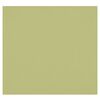 Fonds de studio photo Westcott Toile de fond infroissable X-Drop - Light Moss Green (8' x 8')