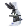 Microscopes Optika B-150D-BRPL