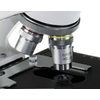 Accessoires microscopes Euromex Objectif Achromatique 100x/0.25 pour la série EcoBlue (EC.7000)